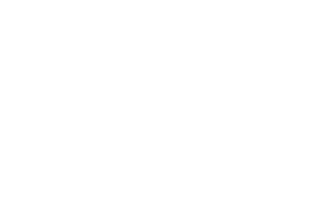Megafans